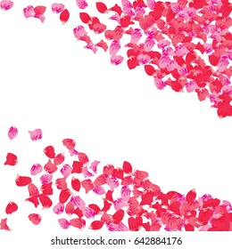 Pink Flying Petals Background. Festive Summer Floral Texture. Vector Illustration