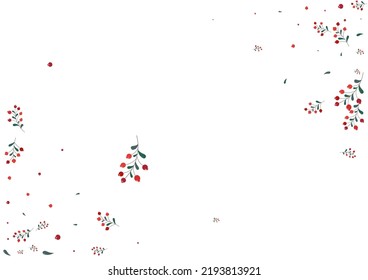 Pink Foliage Background White Vector. Rowan Forest Illustration. Burgundy Leaf Season. Symbol Card. Berries Nature.