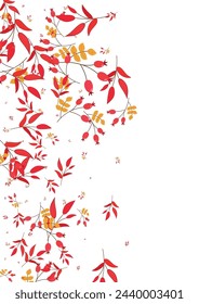 Pink Foliage Background White Vector. Leaf Art Texture. Burgundy Leaves Seamless. Plant Illustration. Berries Autumn.