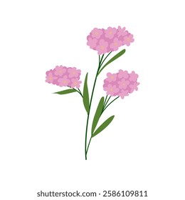 Pink forget me nots flower brunch. Vector flat botanical spring illustration on isolated background