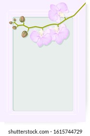Pink frame with orchids and place for text