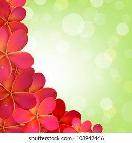 Pink Frangipani Frame With Bokeh, Vector Illustration