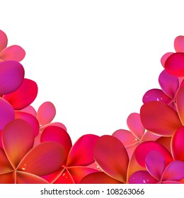 Pink Frangipani Frame, Isolated On White Background, Vector Illustration