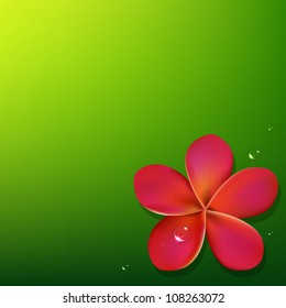 Pink Frangipani With Green Background, Vector Illustration