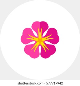 Pink frangipani vector icon