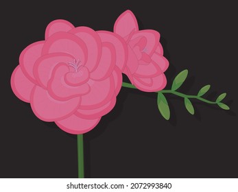 Pink freesia flower with buds on black background vector illustration