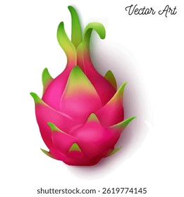 pink fresh dragonfruit exotic fruits vector
