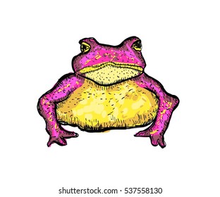 Pink Frog Stock Vector (royalty Free) 537558130 