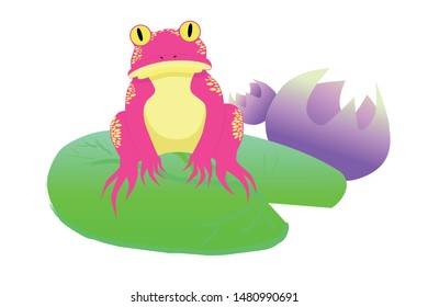 a pink frog sitting on a lily