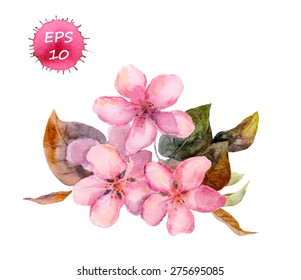 Pink fruit tree flower (apple, cherry, plum, sakura). Watercolour  vector art
