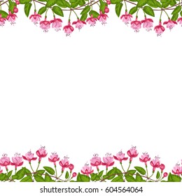 Pink fuchsia seamless double border on white background. Template for postcards, greeting cards, wedding invitations with place for text. Vintage floral wallpaper.