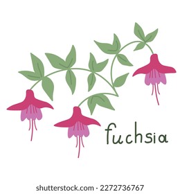 Pink fuchsia simple vector illustration