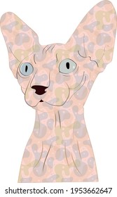 Pink funny cat without fur