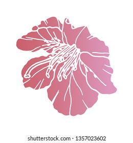 Pink garden flower hand drawn vector illustration. Floral background. Hand drawn vector botanical illustration. Template greeting card, wedding invitation banner.Sketch linear pink gradient