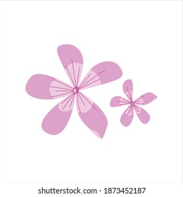 pink geranium Flower digital design graphic 2d hd illustration