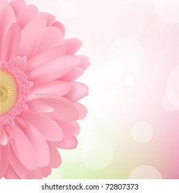 Pink Gerbera, Isolated On Pink Background, Vector Illustration