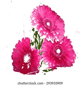 pink gerbera on a transparent background