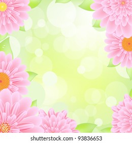 Pink Gerbers Border, Vector Illustration