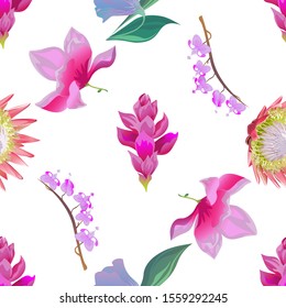 Pink Ginger. Pink Protea. Purple Bllflower. Pink Magnolia. Purple Komakusa. Vector illustration. Seamless background pattern. Floral botanical flower. Wild leaf wildflower isolated. Exotic tropical.