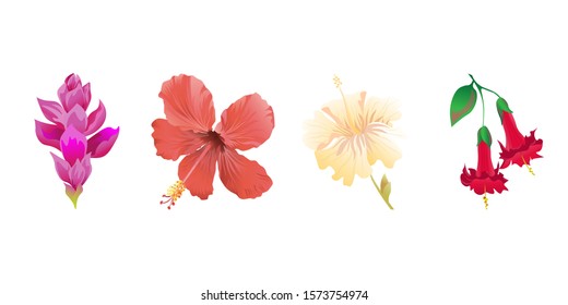 Pink Ginger. Red Hibiscus. Yellow hibiscus. Red Angel Trumpet. Vector illustration. Isolated illustration element. Floral botanical flower. Wild leaf wildflower isolated. Exotic tropical hawaiian.