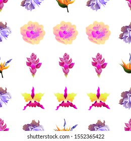 Pink Ginger. Violet Clematis. Orange Strelitzia. Yellow Magnolia. Pink Orchid. Vector illustration. Seamless background pattern. Floral botanical flower. Wild leaf wildflower isolated. Exotic.