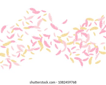 Pink gold feather ethnic background vector print. Cool background with plumelet. Flying feather elements cute vector design for card, banner.