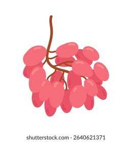 Pink grape on twig in flat cartoon design. Fresh ripe juicy vine fruit. Delicious grapevine berry for summer picnic. Healthy ingredient for vegetarian or vegan diet. Vector illustration isolated.