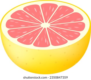 The pink grapefruit cut in half isolated on white background