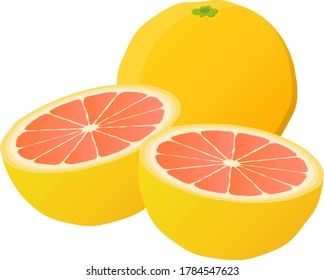 rosafarbene Grapefruits einzeln auf Vektorgrafik