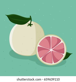 Pink grapefruit - vector illustration