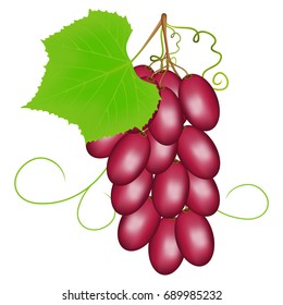 Pink grapes on a white background.