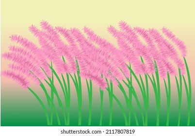 Pink grass on field background.