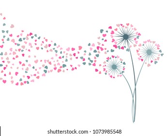 Pink and grayish blue vector dandelion herbs, meadow flowers illustration. Floral background design with dandelion blowing plant. Flowers with heart shaped feather flying. Meadow blossom love symbols.