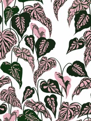Pink And Green Indoor Plant Caladium Print Pattern For Home Decor And Fashion 