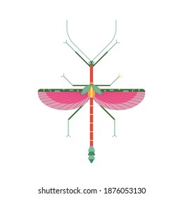 Pink and green stick insect geometric flat icon. Colorful winged stick-bug or walking stick with antennae and legs.