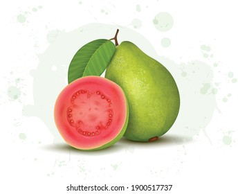 Pink guava vector illustration isolated on white background 