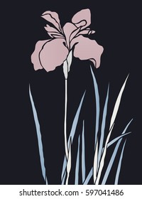 Pink hand drawn iris flower on dark background. Vector illustration