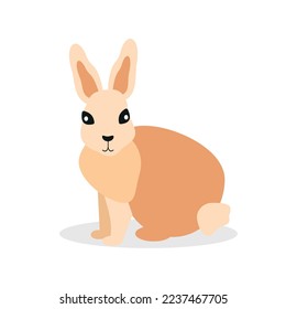 Pink hare sits and looks sideways