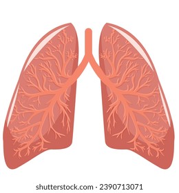 pink, healthy, human lungs with bronchial tubes straight view, vector illustration