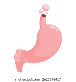 Pink healthy human stomach releasing gas bubbles, digestive system anatomy and physiology