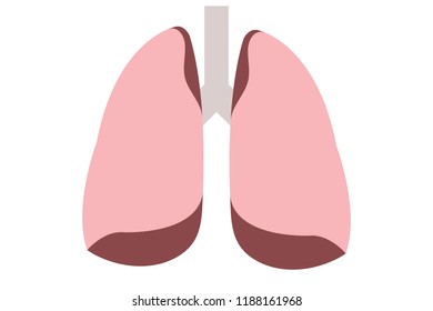 Lungs Vector Stock Vectors, Images & Vector Art | Shutterstock