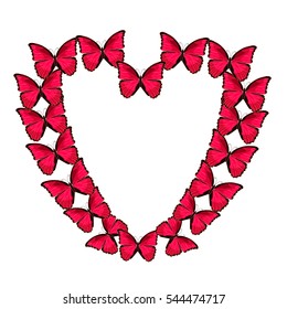 pink heart of morpho butterflies. vector illustration