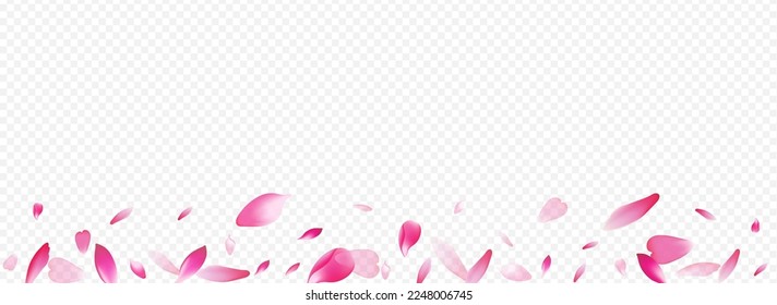 Pink Heart Vector Panoramic Transparent Background. Peach Tender Texture. Cherry Graphic Banner. Rosa Dream Backdrop. White Blooming Blow Card.