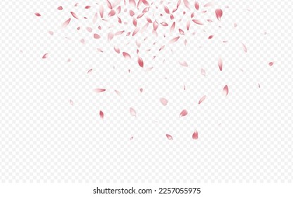 Pink Heart Vector Transparent Background. Floral SummerDrop Banner. Leaf Nature Pattern. Rosa Fly Design. Color Petal Sky Poster.