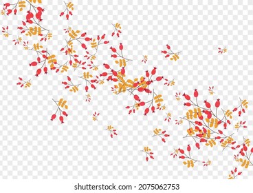 Pink Herb Background Transparent Vector. Leaves November Design. Green Foliage Drawn. Image Illustration. Leaf School.