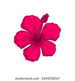 pink hibicus vector design on white background