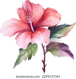 A pink hibiscus flower with green leaves