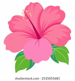 flor hibiscus rosa isolado branco com fundo branco,