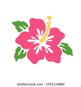 Pink hibiscus flower vector Isolated on white background