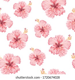 Pink hibiscus flowers on the white background. Seamless pattern. Tropical summer illustration.